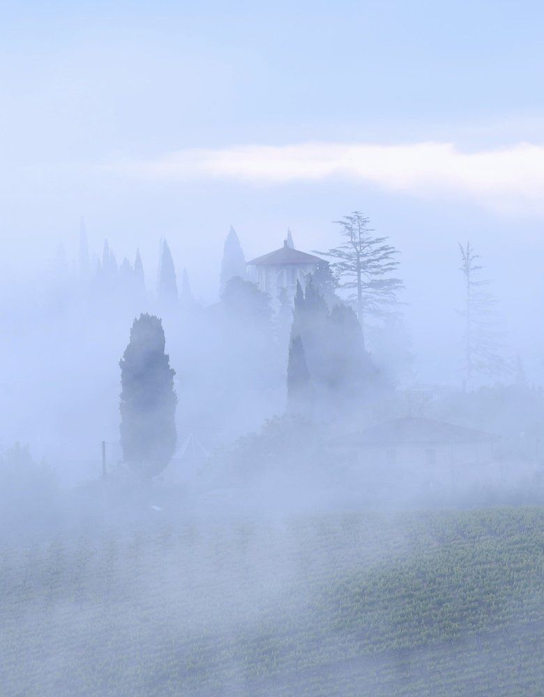 Туман на дороге близ Сан-Джиминьяно. Тоскана Италия