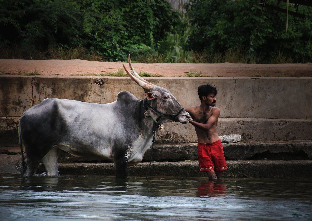 Водные процедуры...