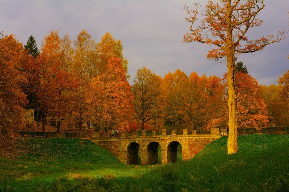 Осенняя прогулка.