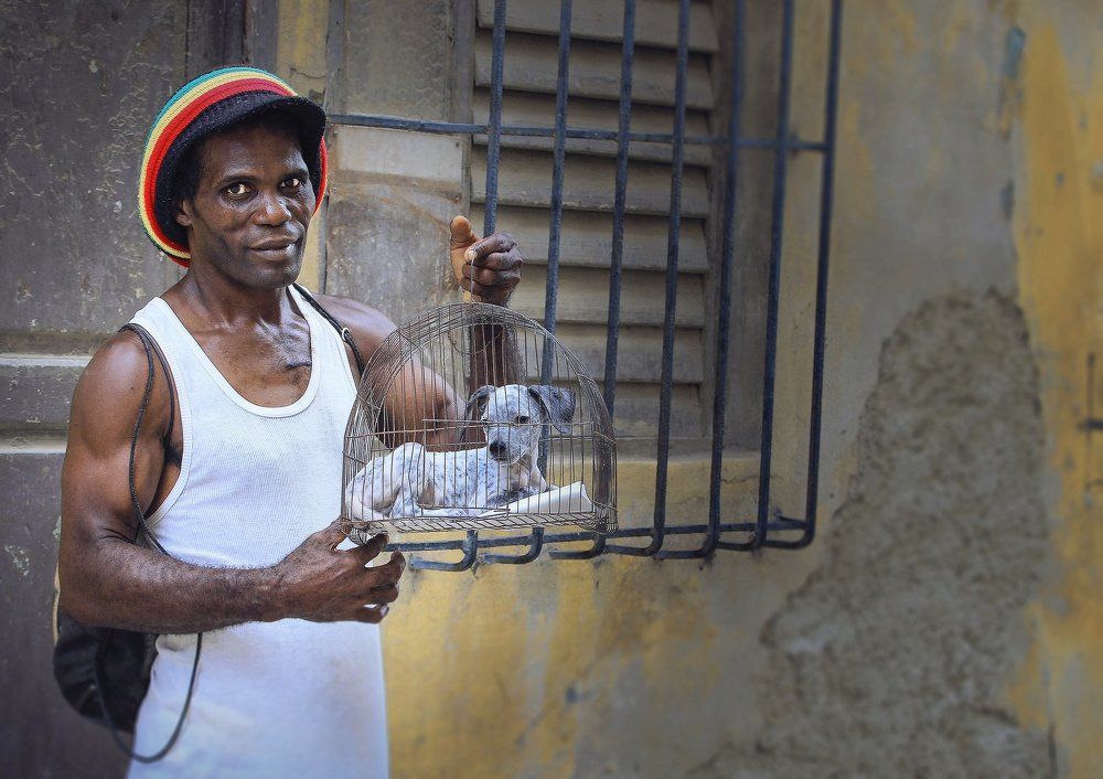 Купите щенка...