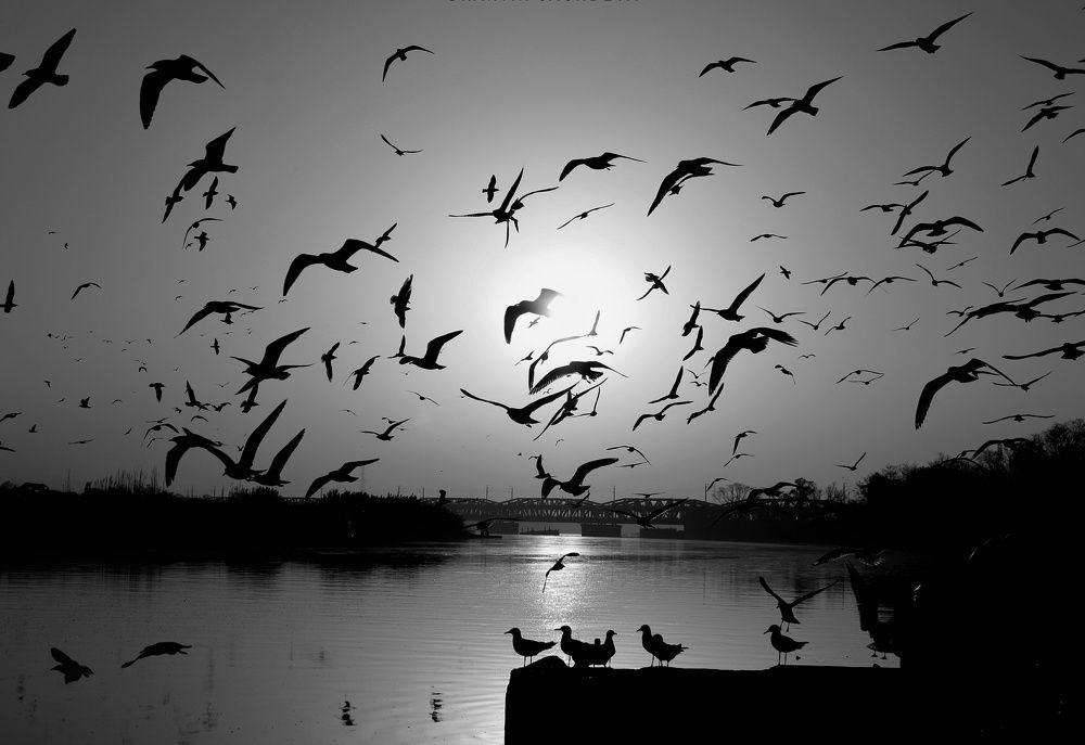 Yamuna Ghat,New Delhi.