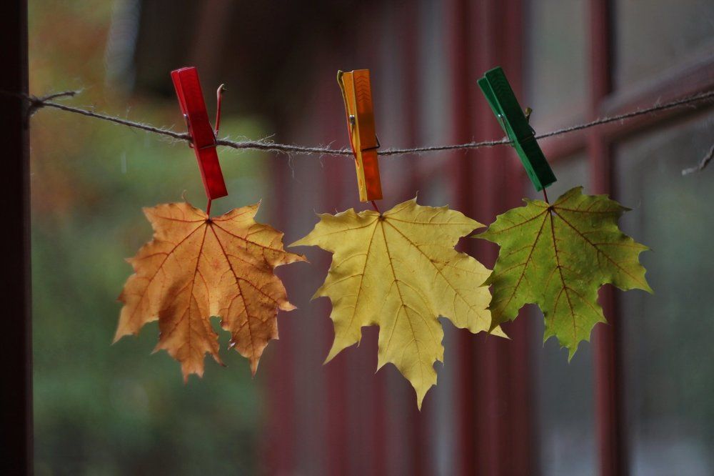 Не опадайте!