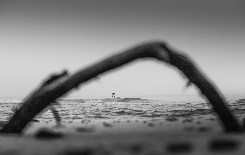 Photograph by Беликова Анна