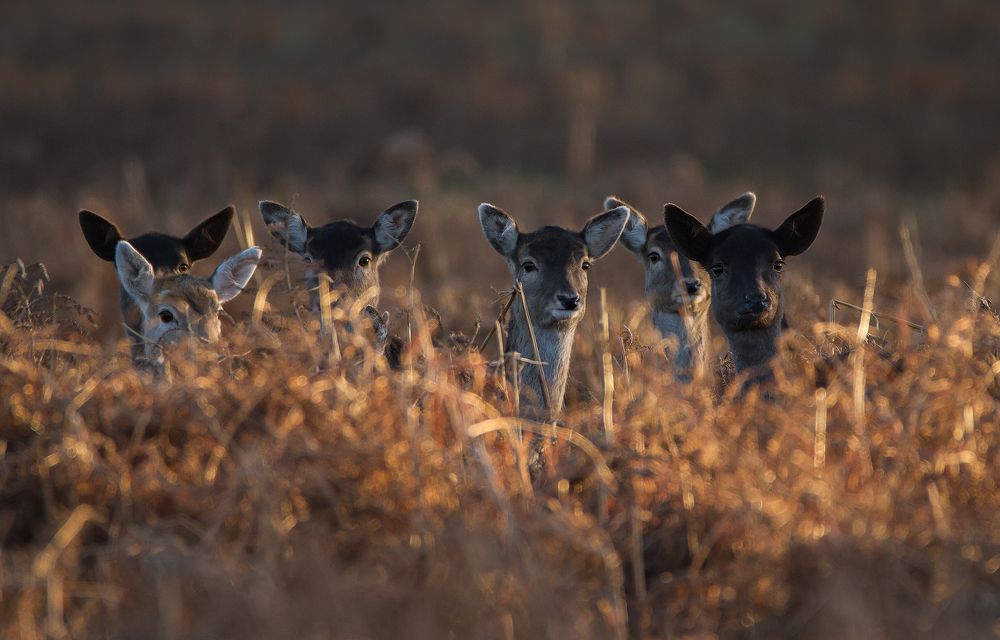 We are watching you....
