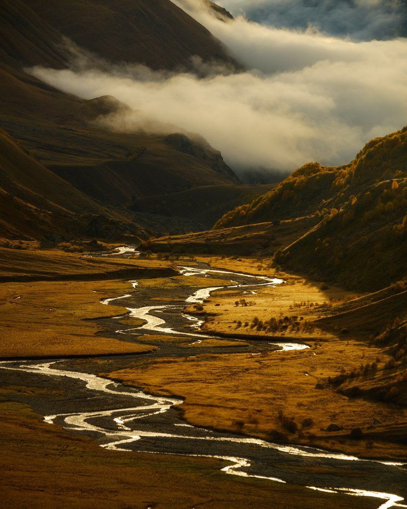 Магическое болото