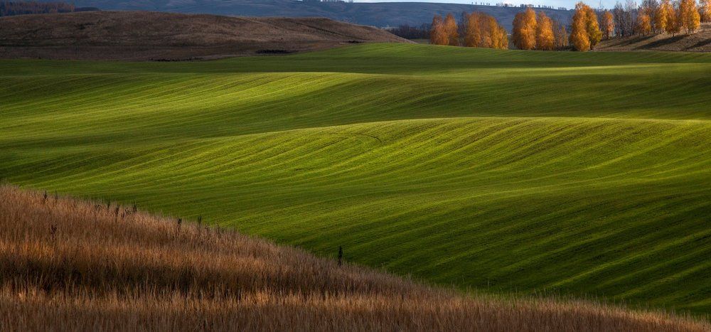 Осенние контрасты