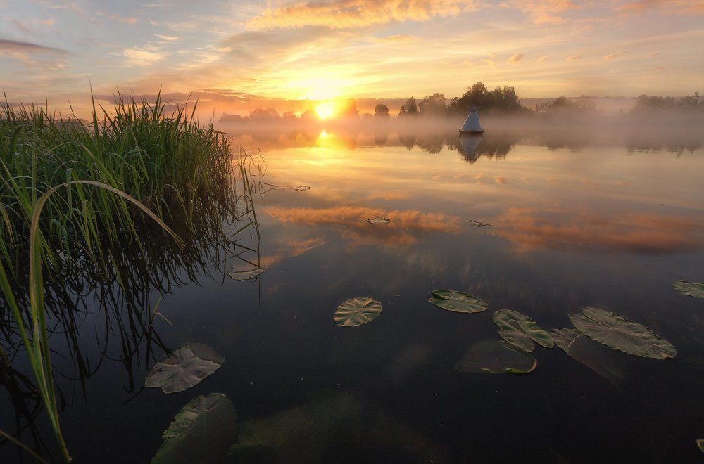 Утром я приду сюда...