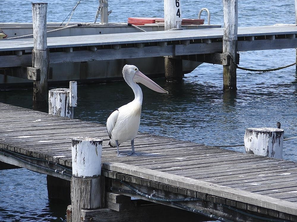 Обходит владения свои.