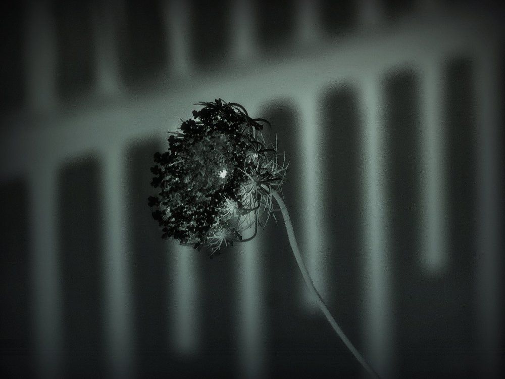 Одиночество