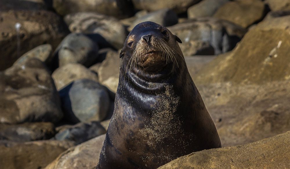 Photograph by Александр Волков