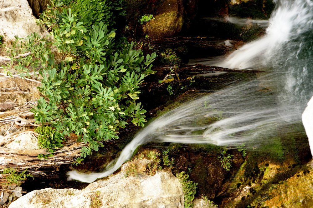 Святая вода Фарангостелло