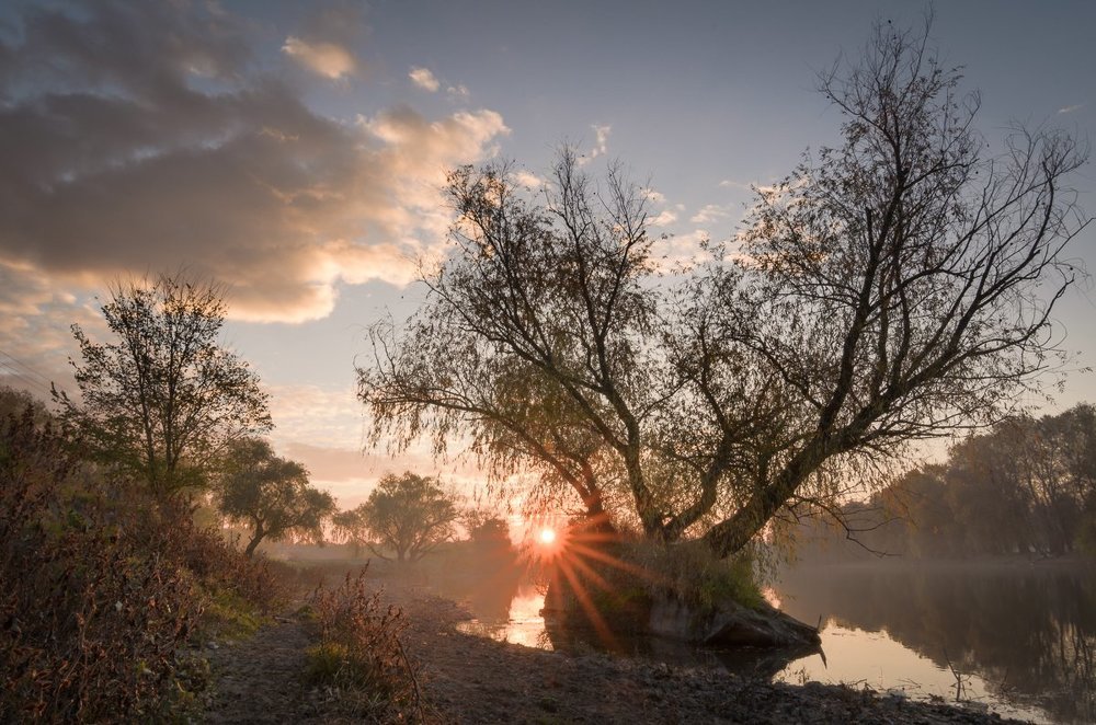 На берегу очень тихой реки...