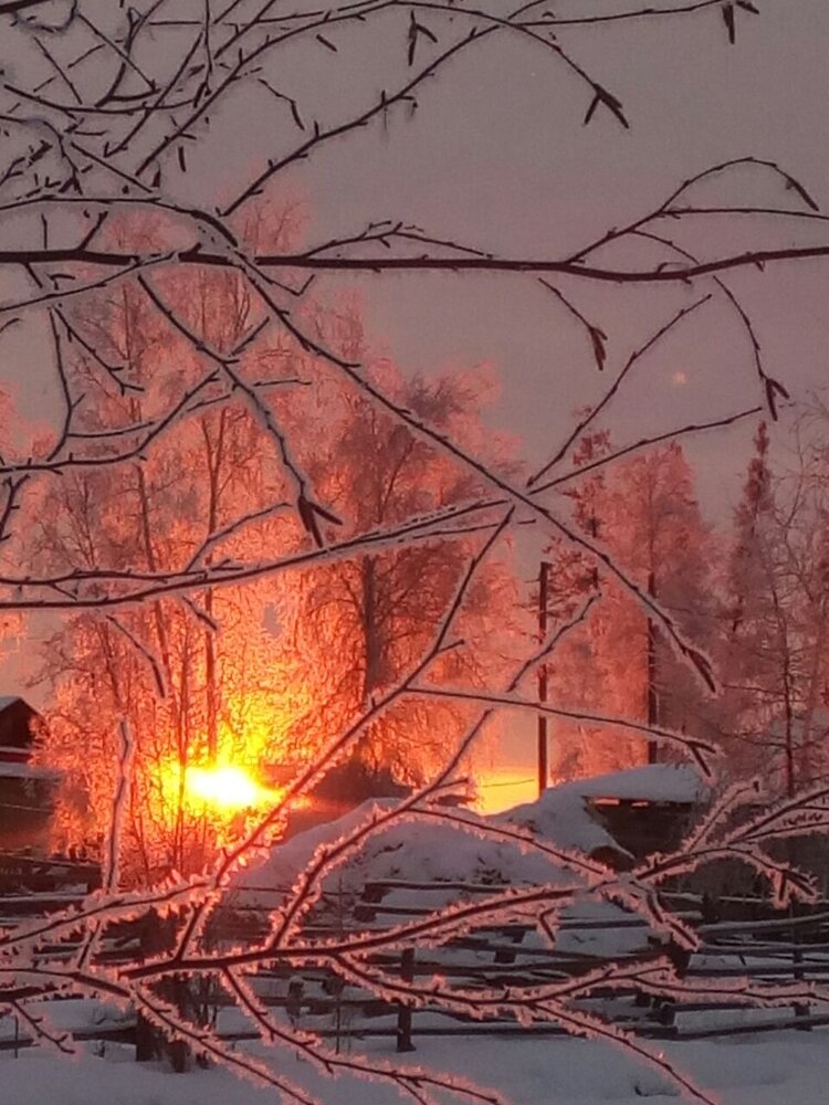 Зимнее утро