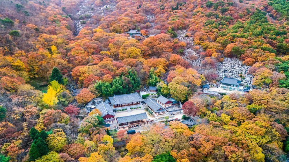 Уходящая осень в Южной Корее