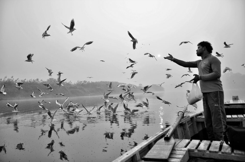 The one who feeds.....