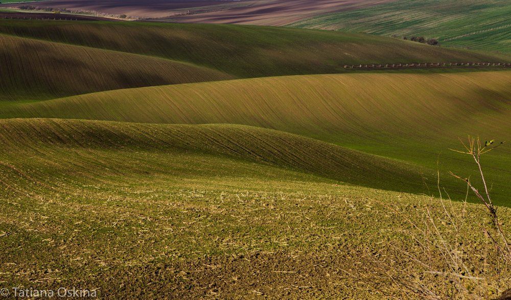 Холмы Моравии