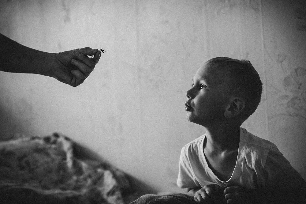 Повелитель мух