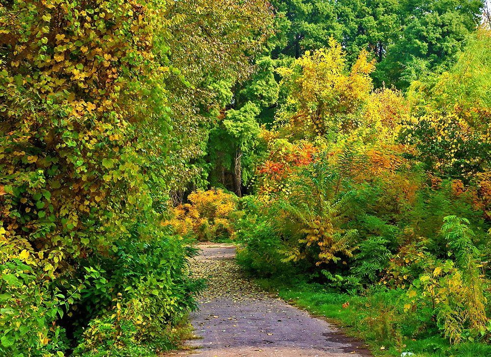 Осень в ботаническом саду