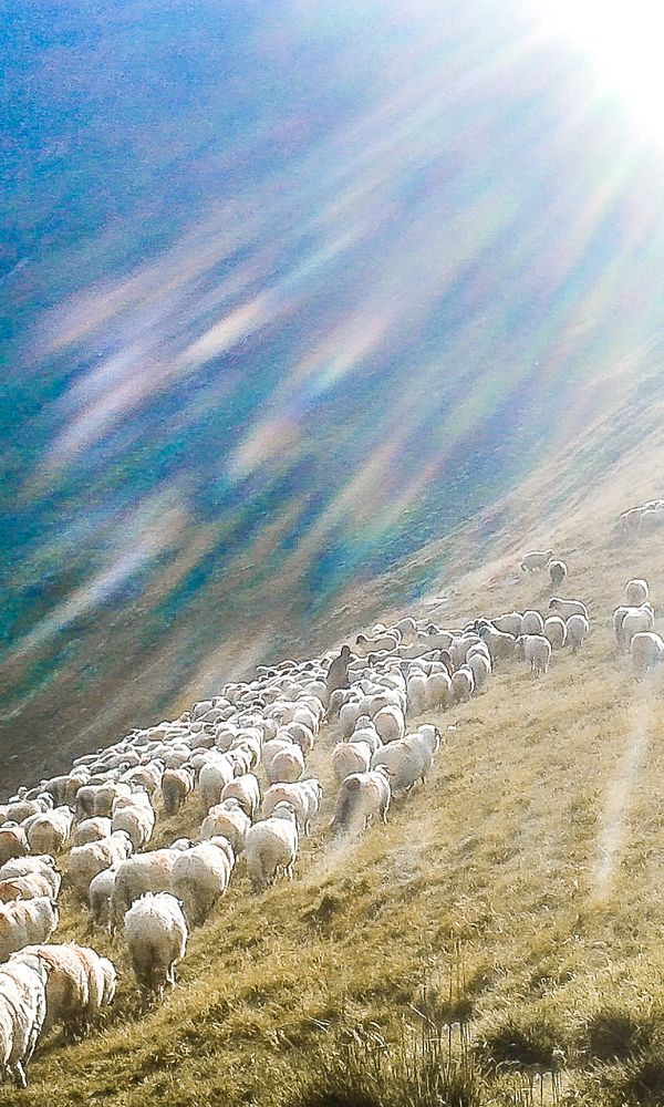 Photograph by Марина Волосевич