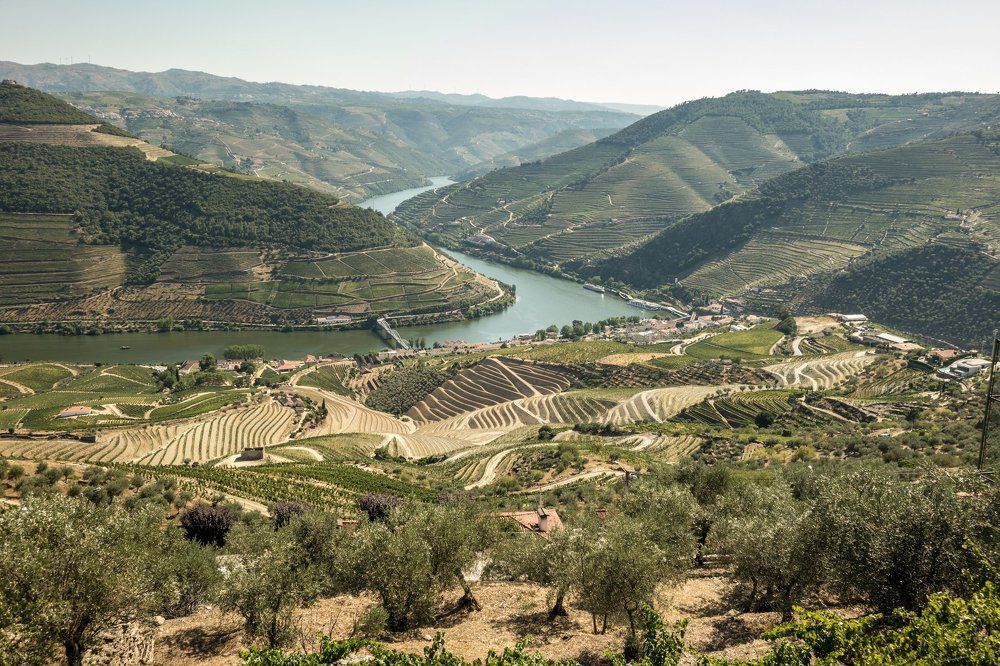 Вид не реку Дору, Португалия