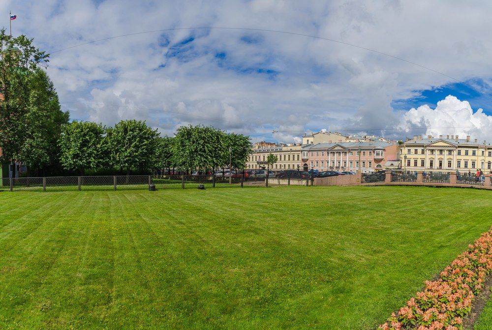 Питерские поля