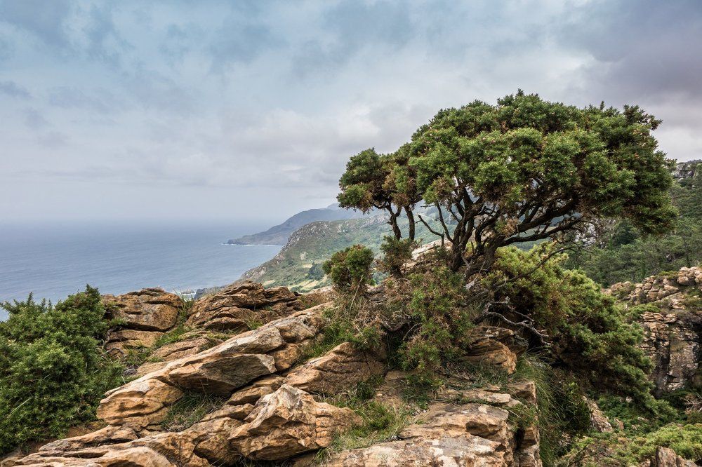 Вид на Атлантический океан.