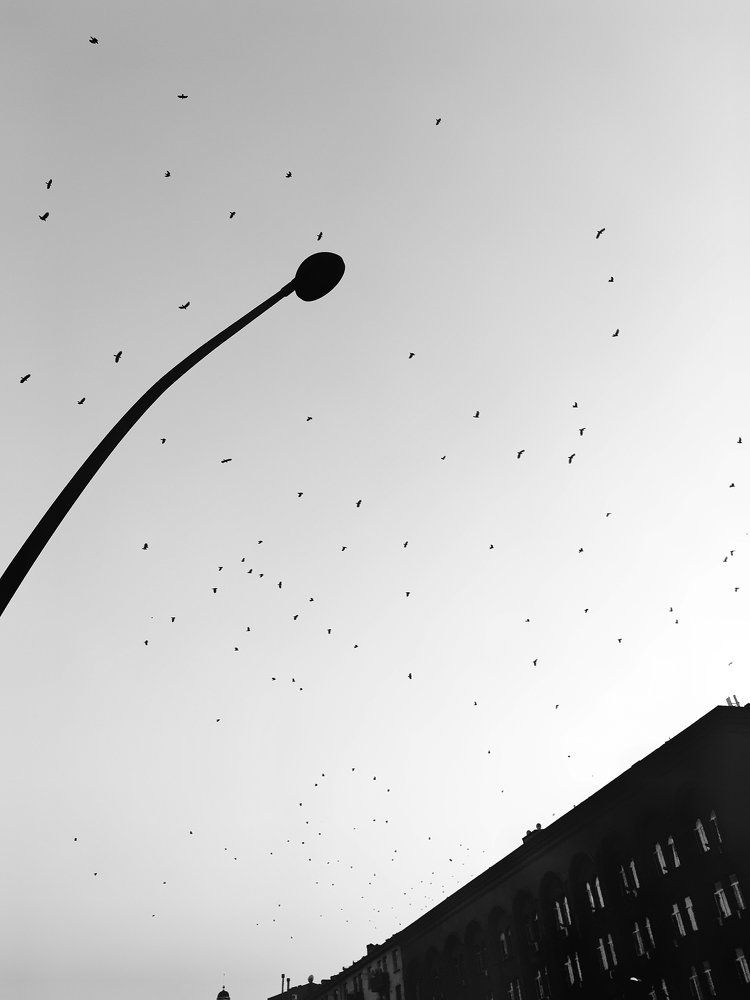 Photograph by Khotchava Marie