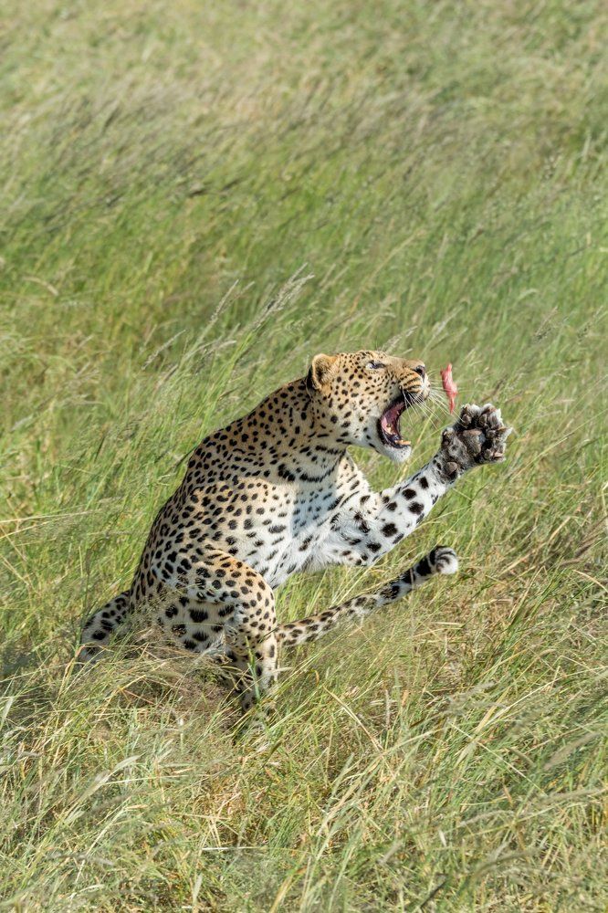 Photograph by slavka