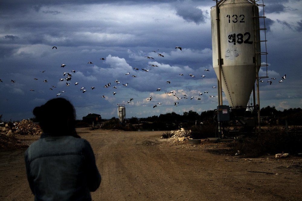 Photograph by Ирина Костенко