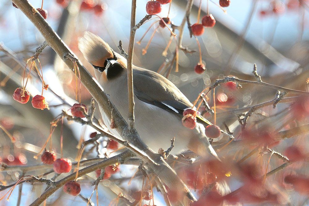Photograph by Владимир Малевич