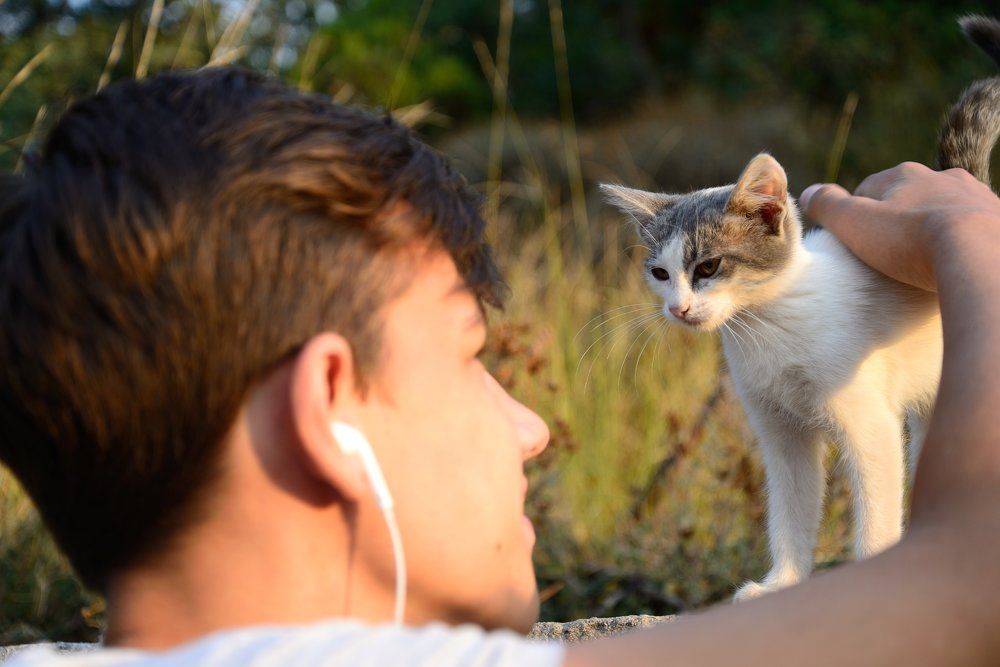 Глаза в глаза.