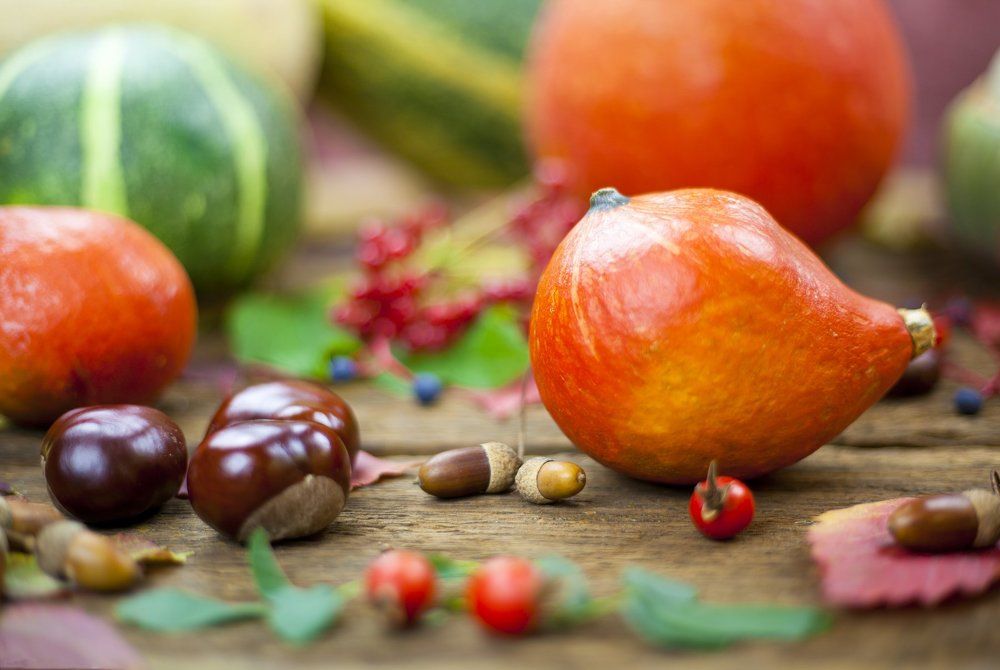 тыквенный коллаж