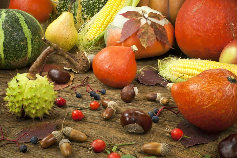 тыквенный натюрморт