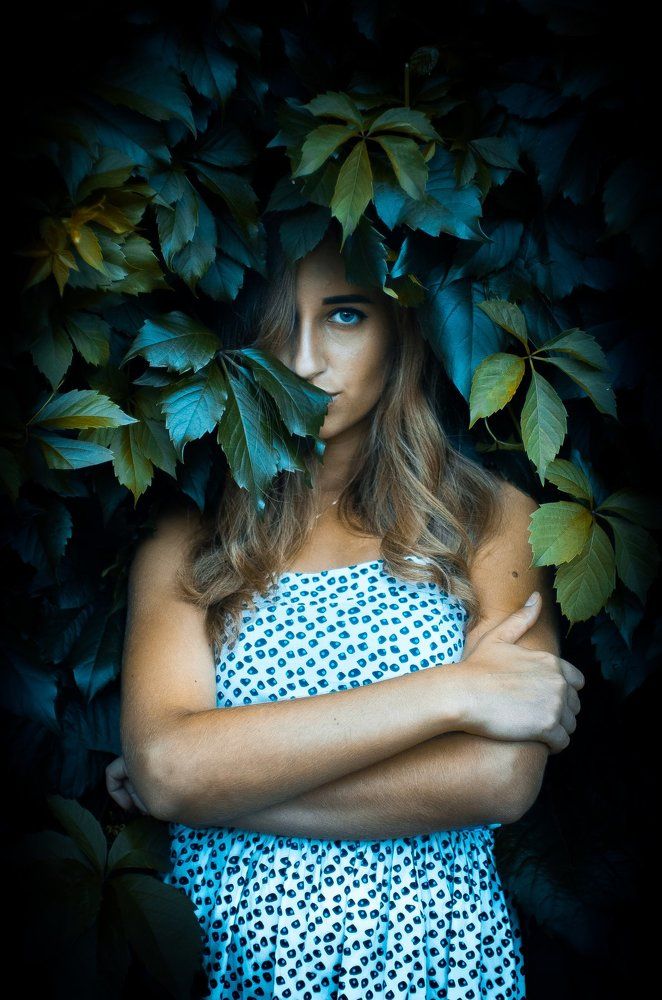 Дикий виноград