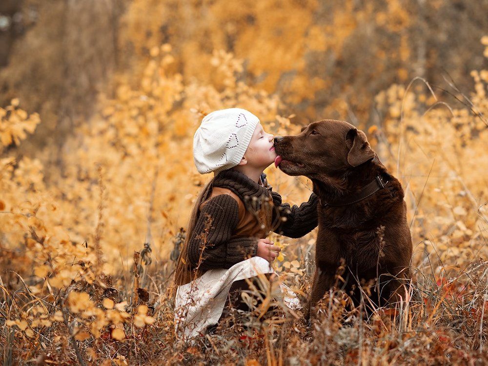 Осенняя прогулка