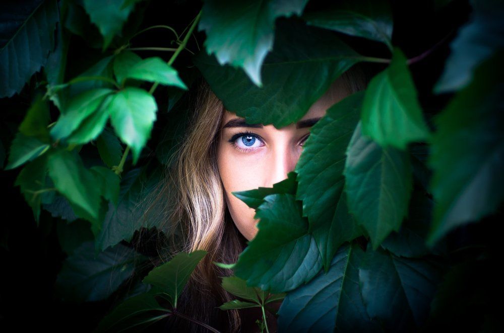 Дикий виноград