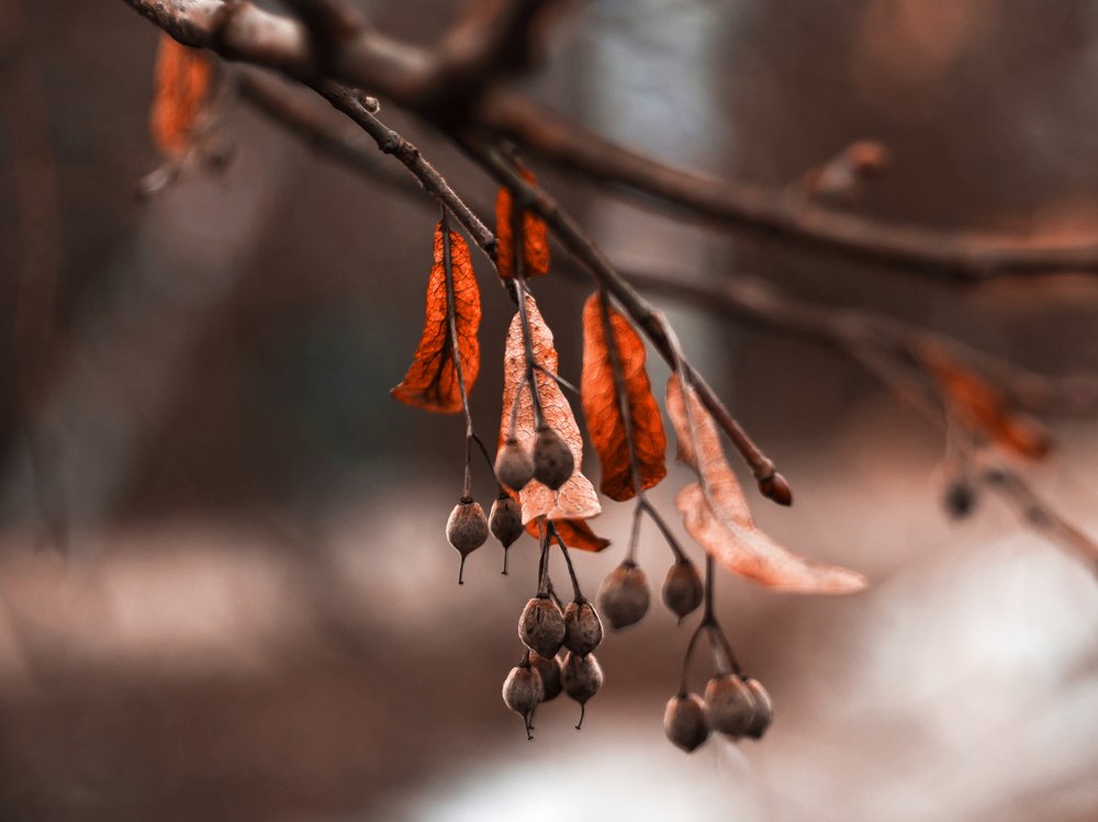 Начало весны