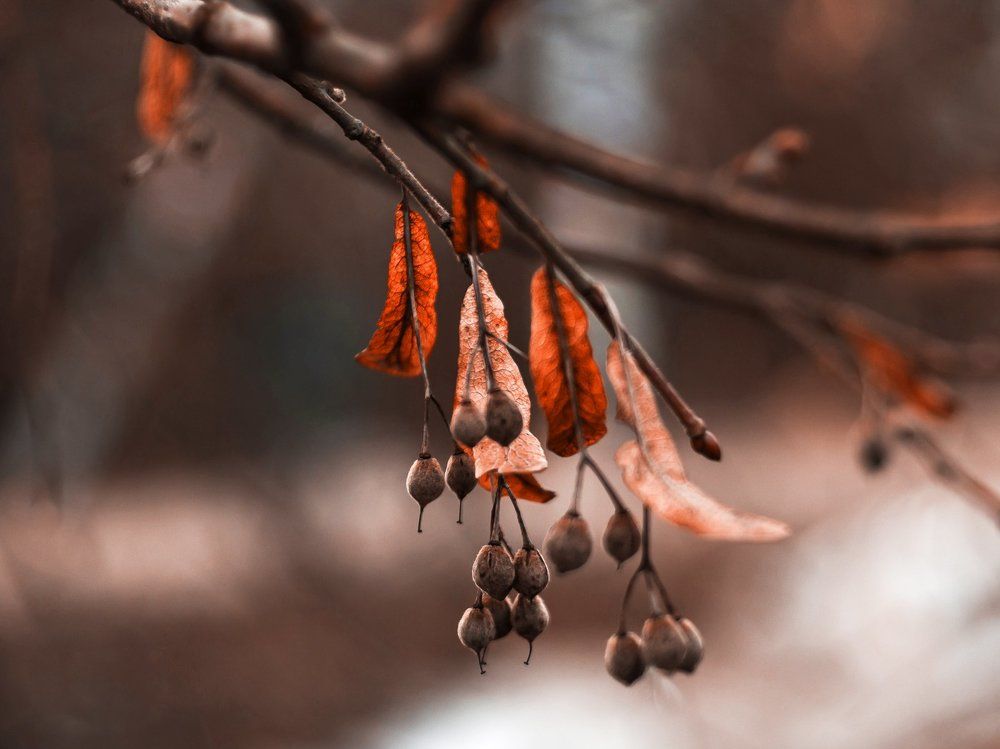 Остатки жизни