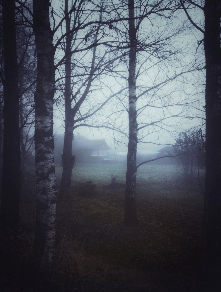 Туманное утро