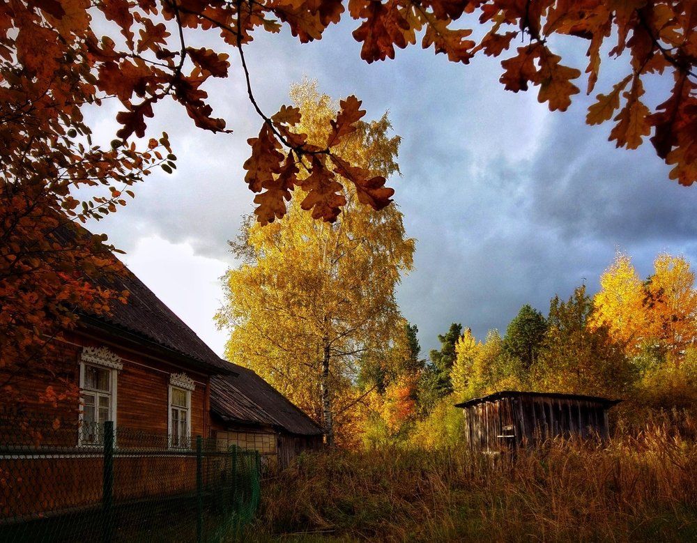 Деревенский пейзаж