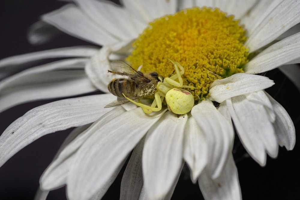 БОЛЬШАЯ ДРАМА В МАЛЕНЬКОМ МИРЕ