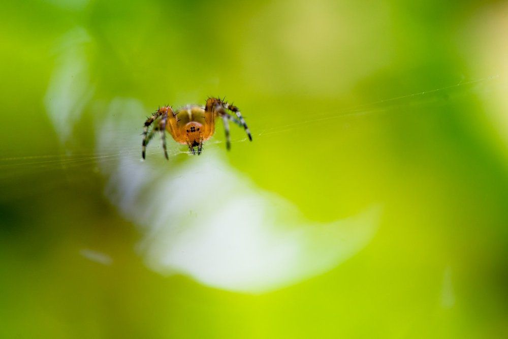 Знакомство