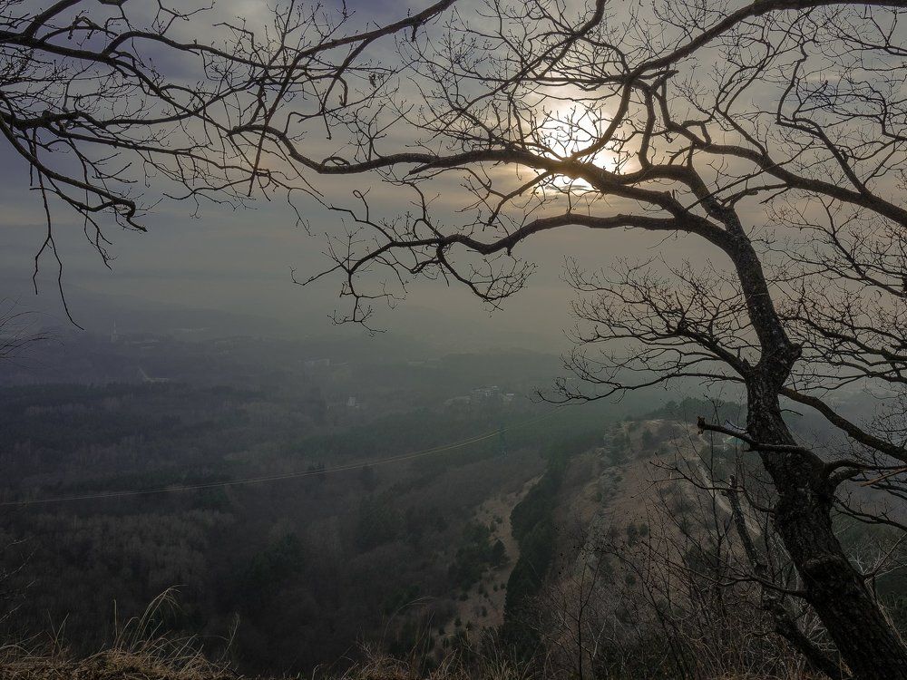 Photograph by Тамара