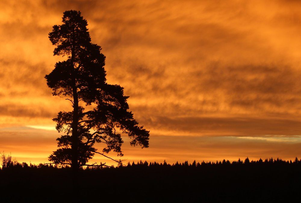 огненная лава