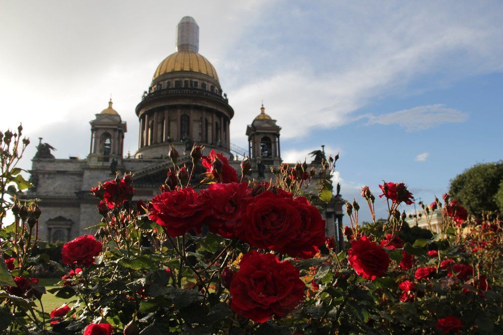 лето в городе