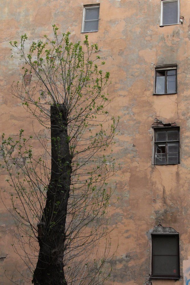 питерские окна