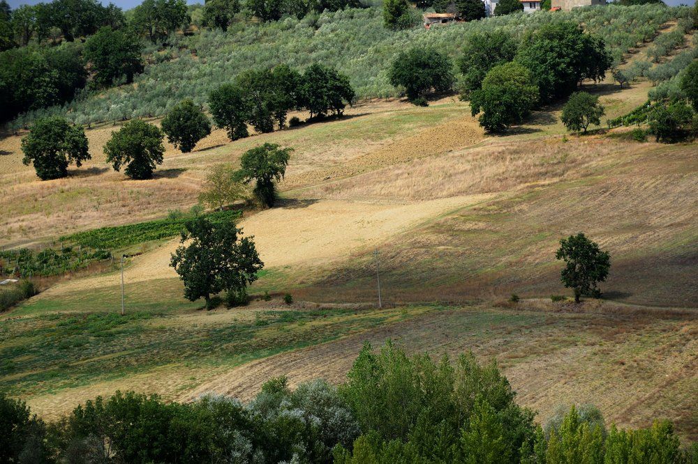 Фотография автора Андрей Симонов