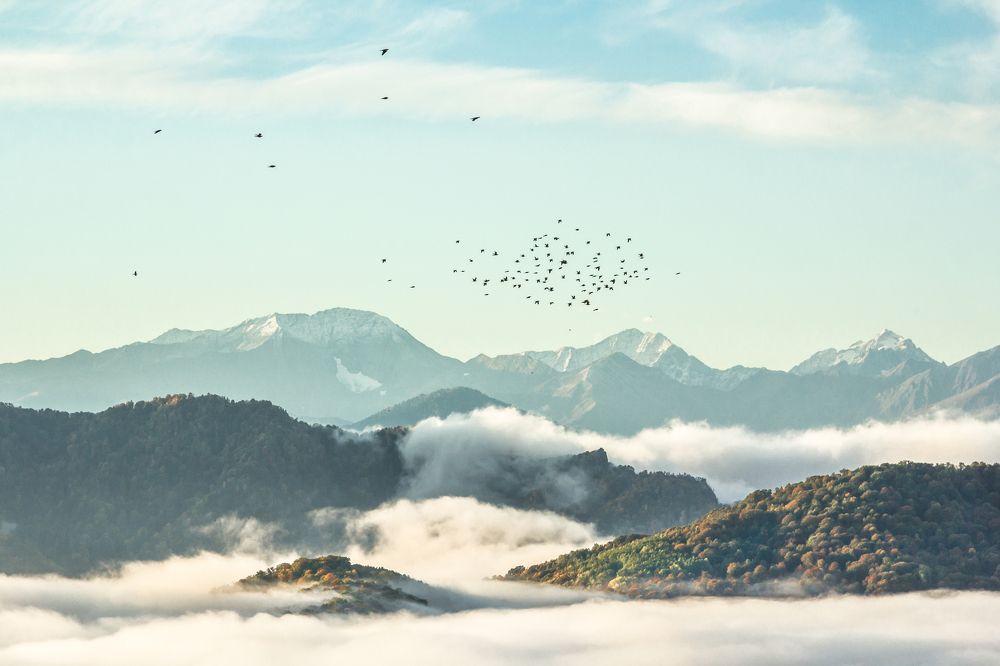 Рассвет над Кавказом