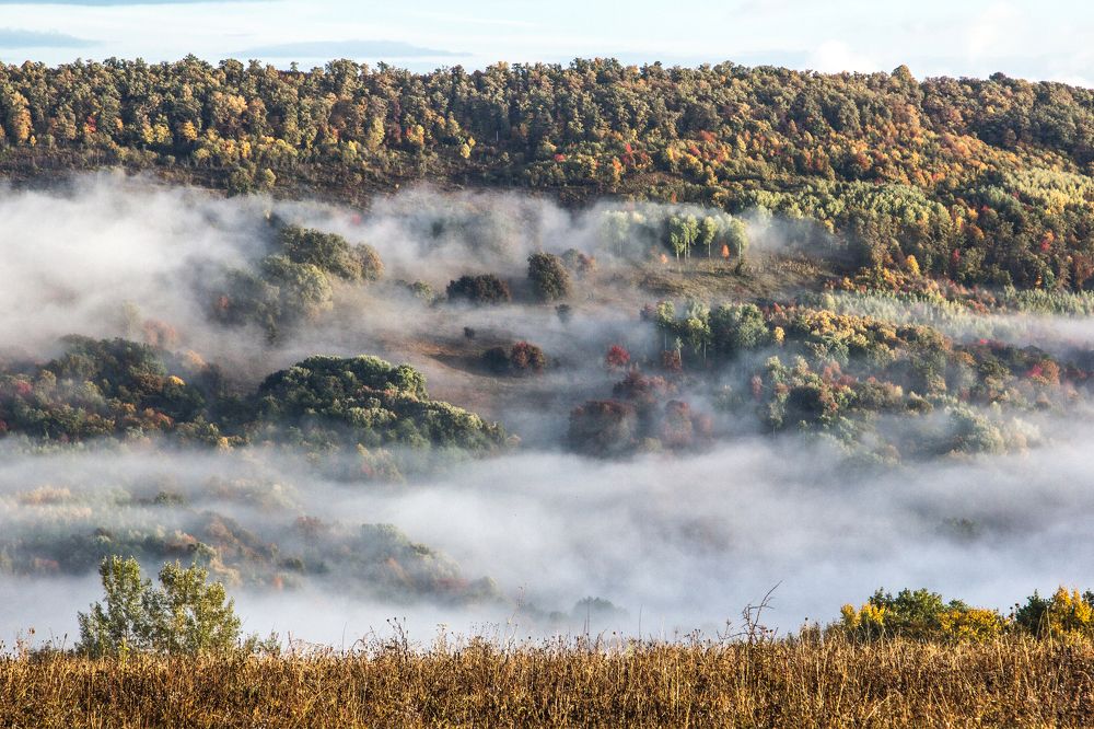 Туман Окутывает