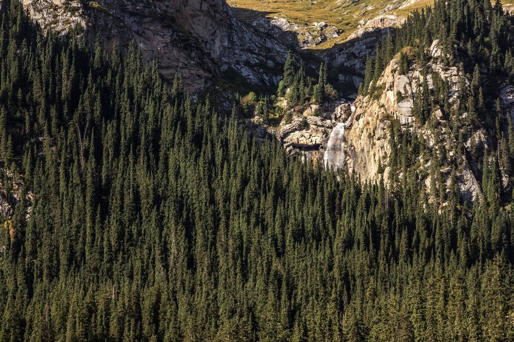 затерянный в лесах